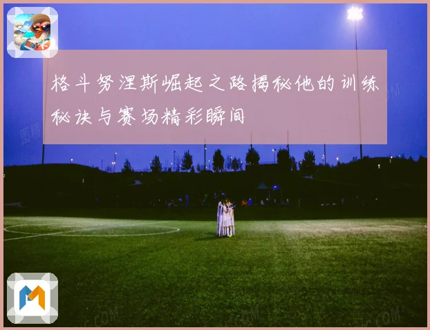 格斗努涅斯崛起之路揭秘他的训练秘诀与赛场精彩瞬间