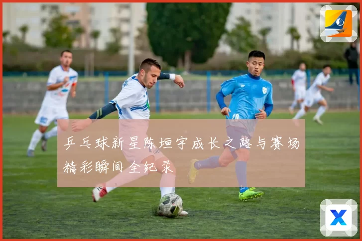 乒乓球新星陈垣宇成长之路与赛场精彩瞬间全纪录