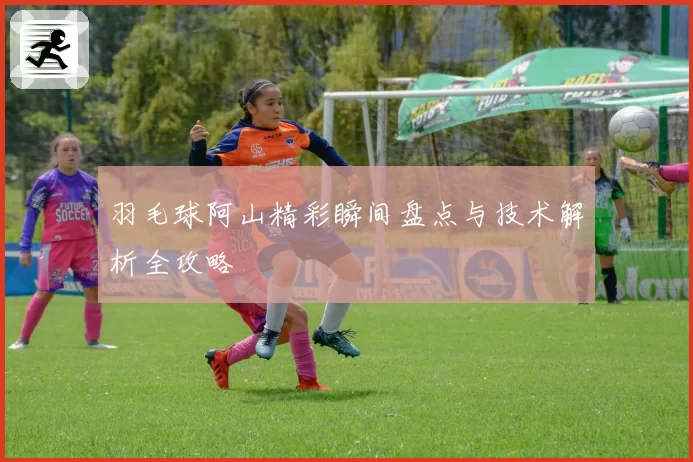 羽毛球阿山精彩瞬间盘点与技术解析全攻略