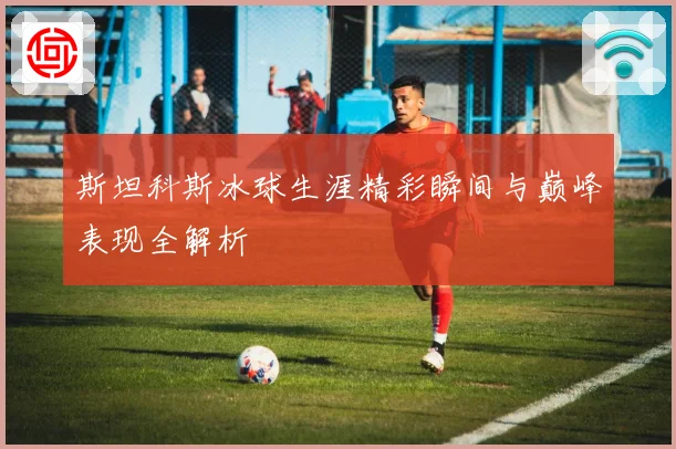 斯坦科斯冰球生涯精彩瞬间与巅峰表现全解析